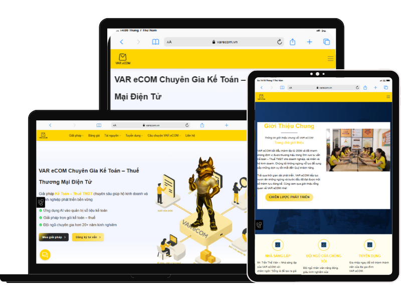 sứ mệnh của VAR eCOM